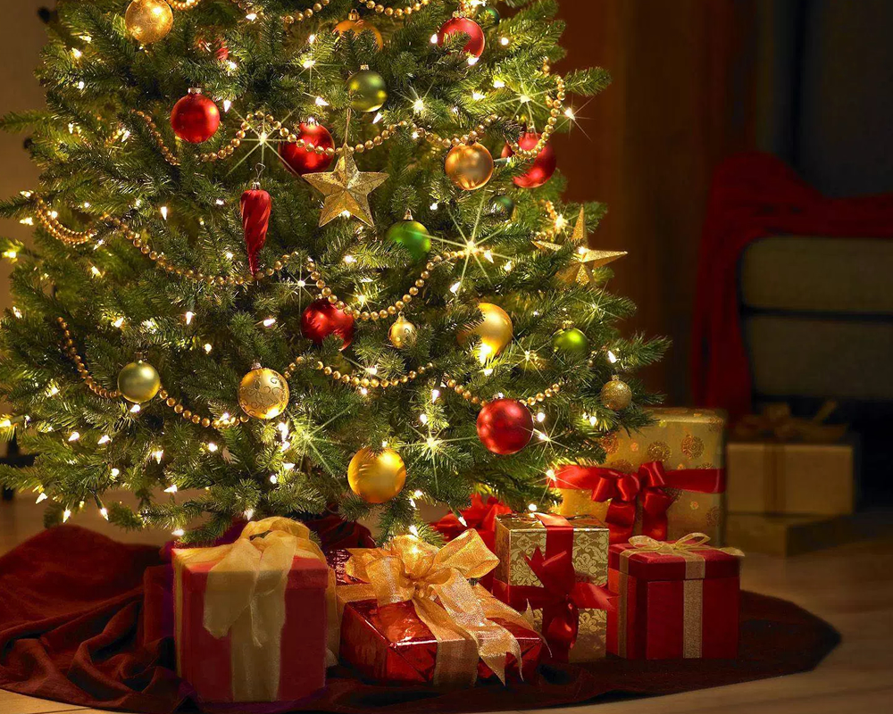 Qual é a origem da árvore de natal?