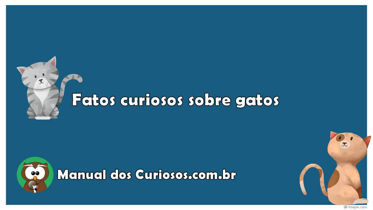 Fatos curiosos sobre gatos